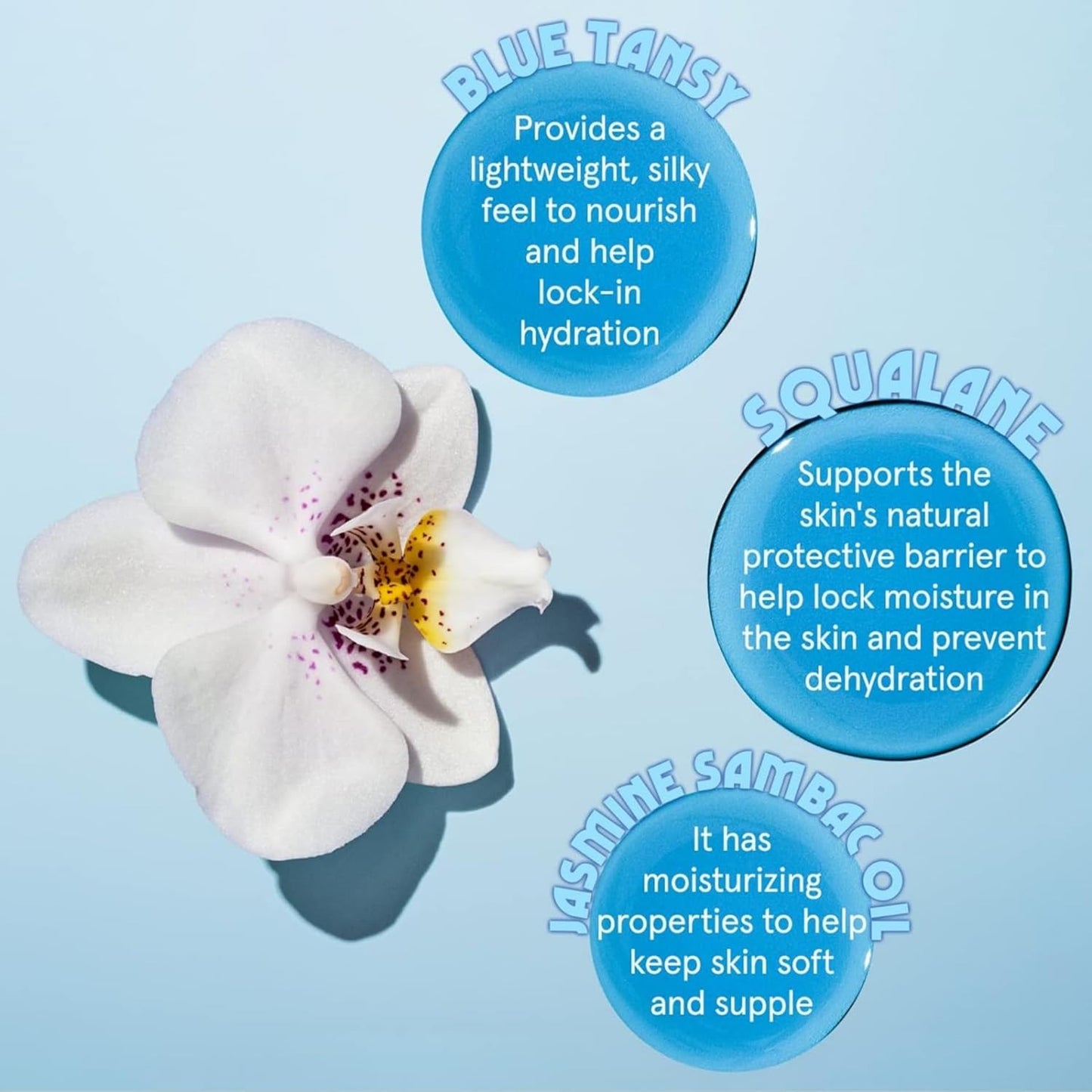 HERBIVORE Rainbow Minis Set - (Serums + Oils Best Sellers Collection), Plant-based, Vegan, Cruelty-free