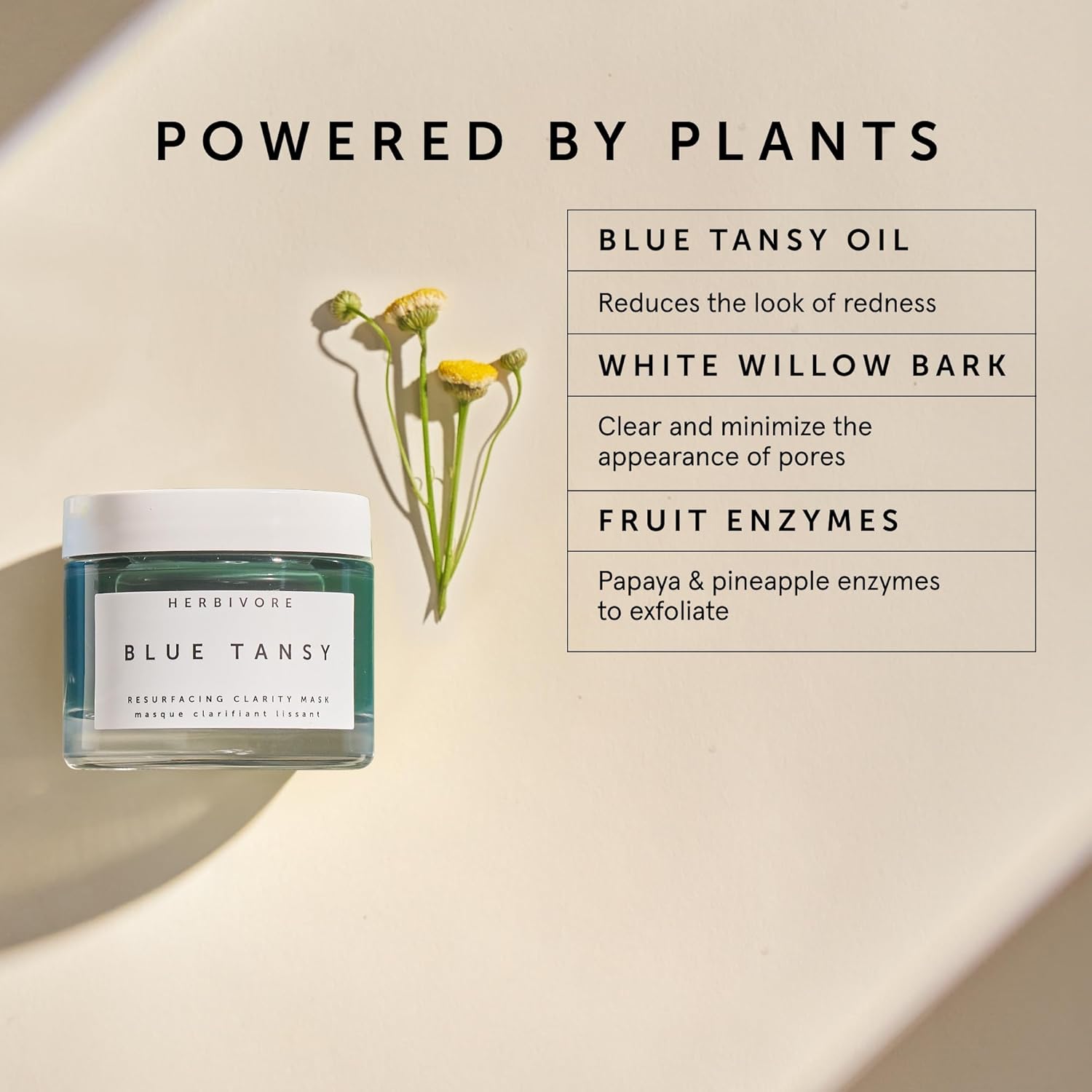 HERBIVORE Blue Tansy BHA & Enzyme Pore Refining Mask - Naturally Clarifies Acne, Blemishes & Redness, Vegan & Cruelty-Free, 60 mL / 2.02 oz